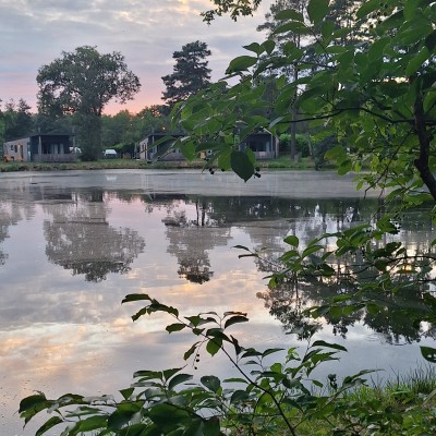 Spiegelbeeld