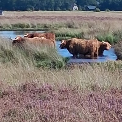 Pootje baden