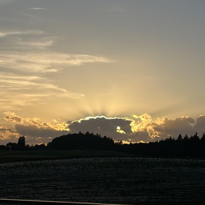 Zonsondergang