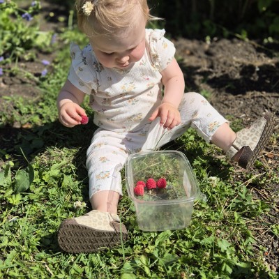 Framboosjes snoepen in de moestuin van opa
