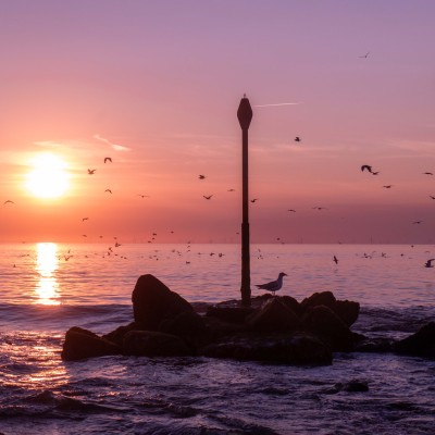 Een zomeravond in Schevenigen