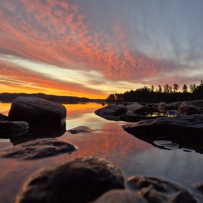 Zonsopkomst in Glaskogen, Zweden