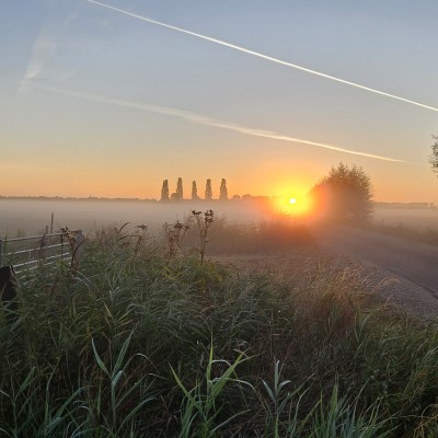 De natuur op zn mooist in de Betuwe