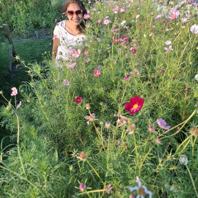 Mooi bloemen tuin in Tricht