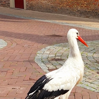 Shoppen in Schoonhoven