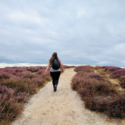 Genieten van de paarse heide!