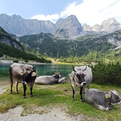 Seebensee in Oostenrijk