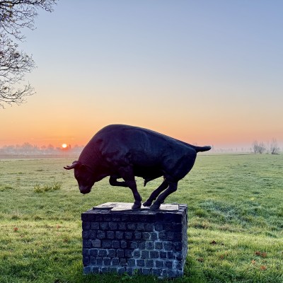 Zonsopkomst Willeskop