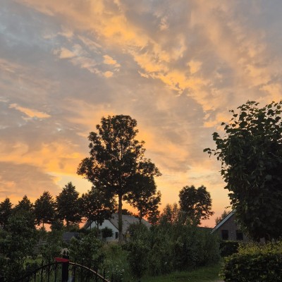 Uitzicht thuis in Benschop