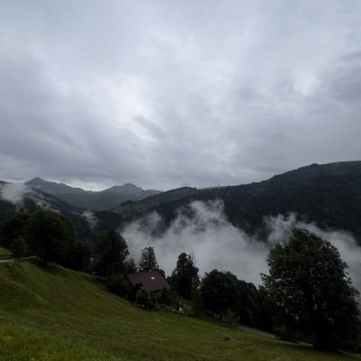 Haute Savoir