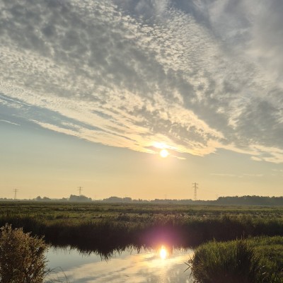 Ochtendwolken