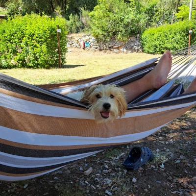 Chillen met de baas