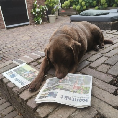 Lekker krantje