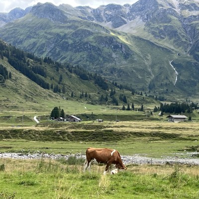 Natuur in Sportgastein in Oostenrijk