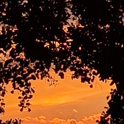 Zomer avond