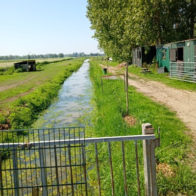 Rondje moordrecht