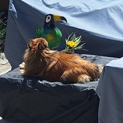 Ik ben er klaar voor, laat de zomer maar komen.